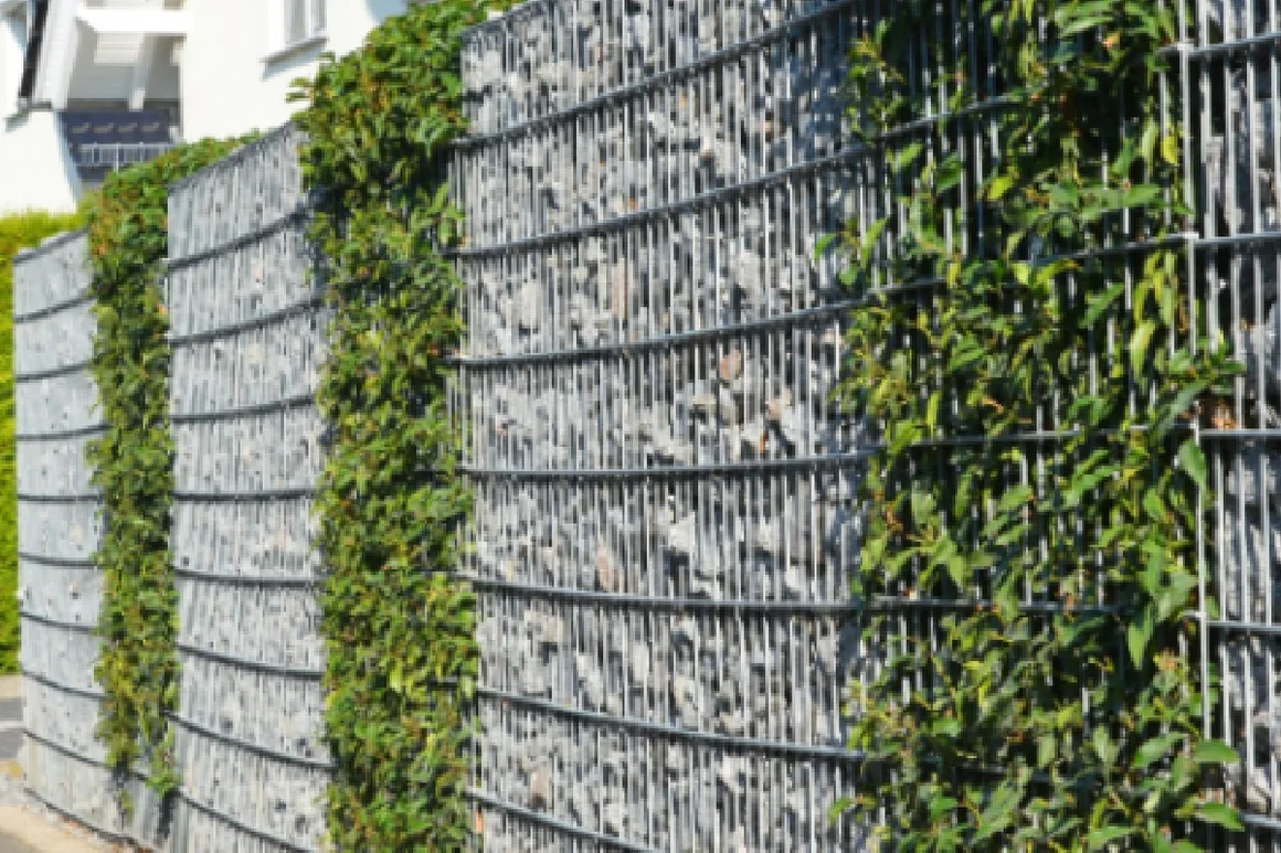 Gabionenzaun mit Pflanzen